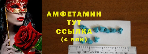прущие грибы Абинск