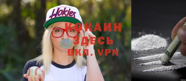 твердый Абаза