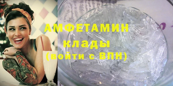 прущие грибы Абинск