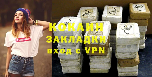 прущие грибы Абинск