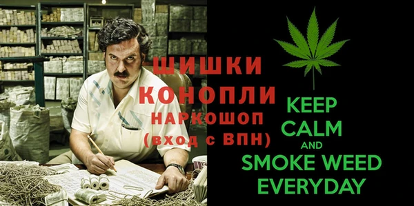 прущие грибы Абинск