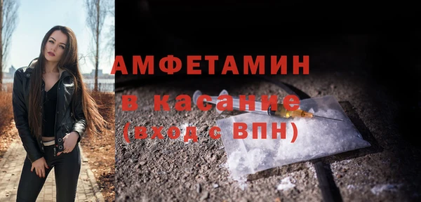 прущие грибы Абинск