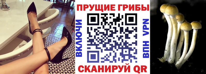 Галлюциногенные грибы мицелий Уржум