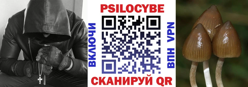 блэк спрут как войти  Уржум  Псилоцибиновые грибы мухоморы 